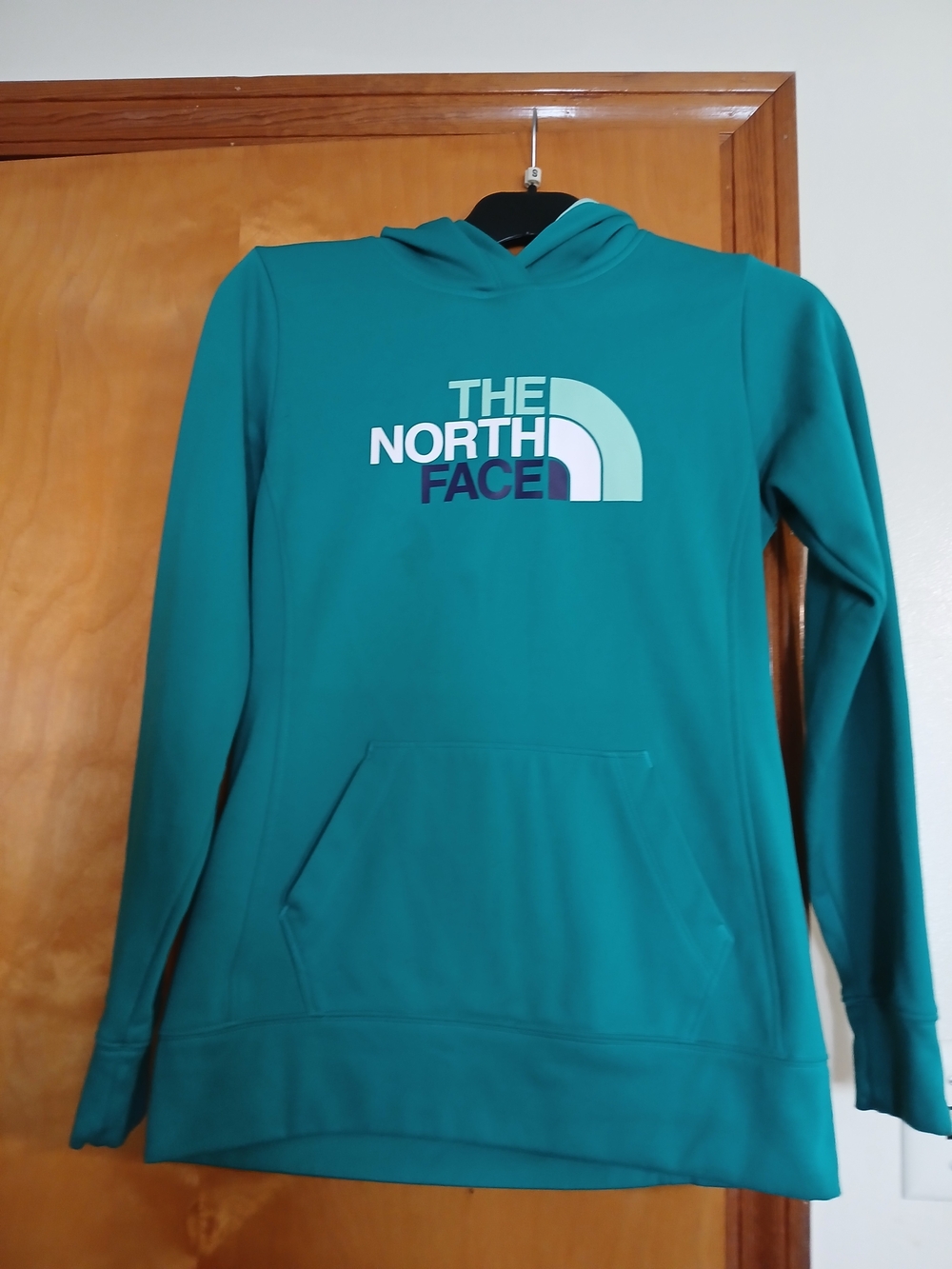 The North Face Teal Logo Hoodie